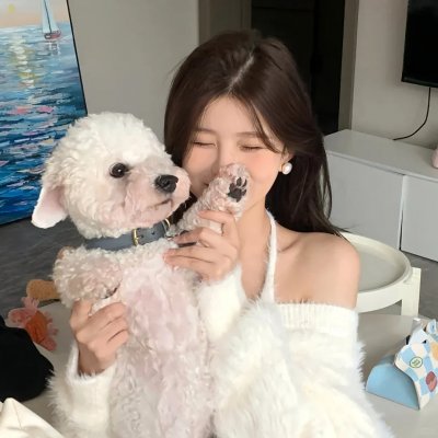 知更鸟