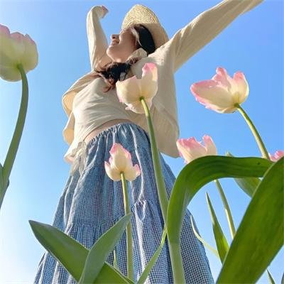 阿里与艾娃